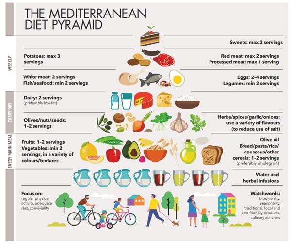 A diagram of a pyramid of food Description automatically generated