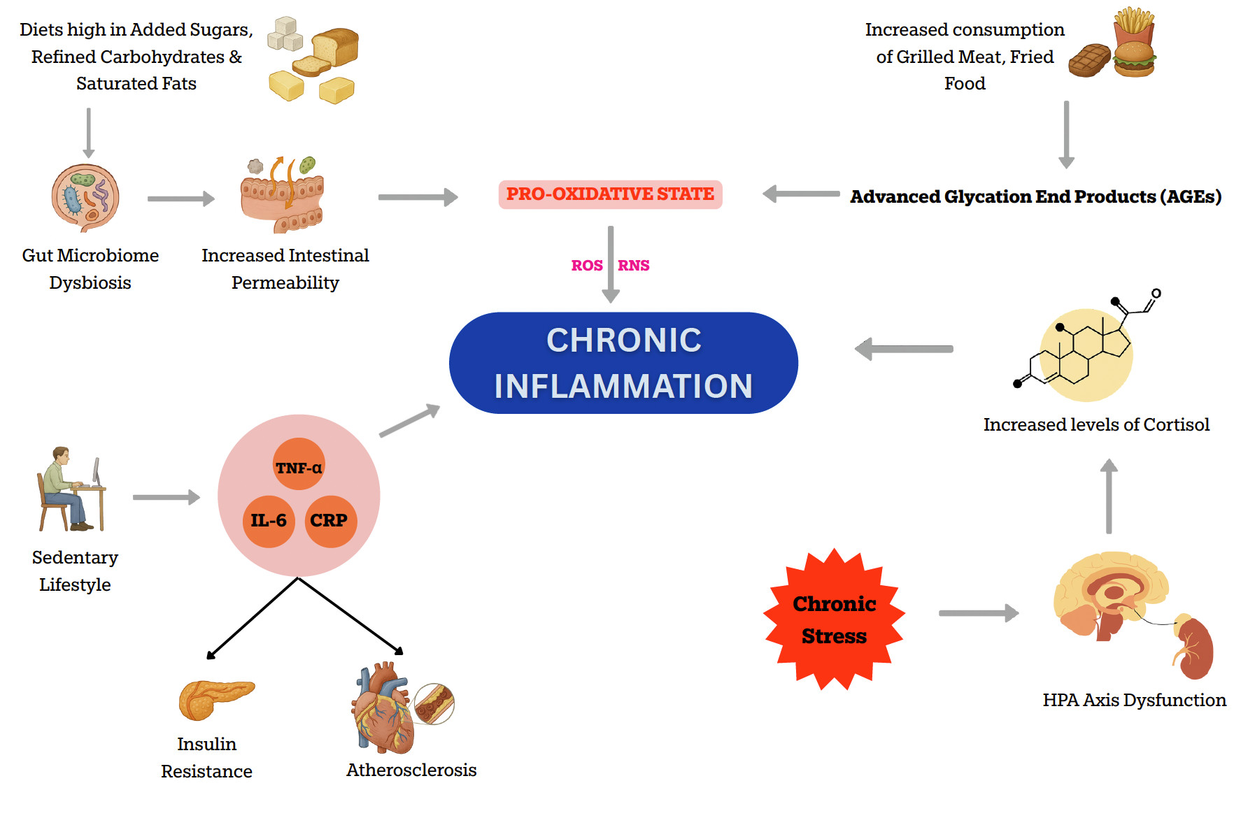 A diagram of chronic inflammation Description automatically generated