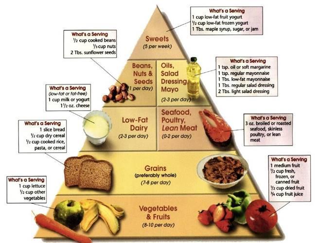 A diagram of food pyramid AI-generated content may be incorrect.