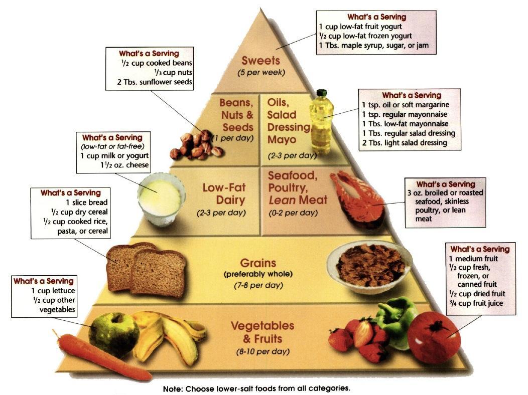 A diagram of food pyramid AI-generated content may be incorrect.